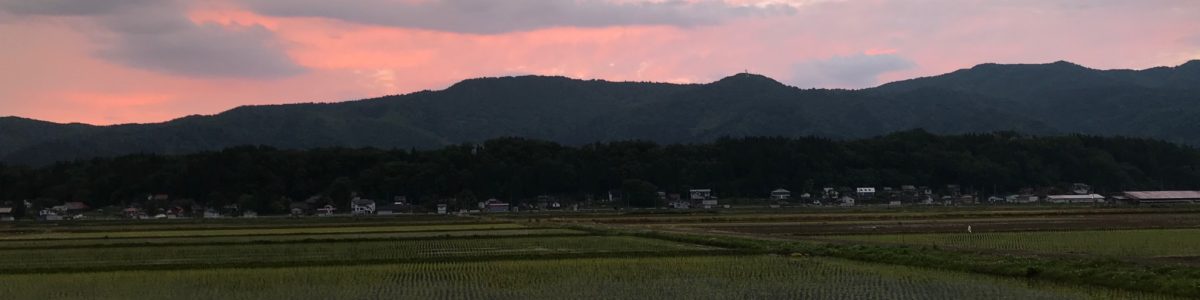 水田の風景